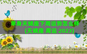 单身天蝎座下周运势怎么样(天蝎座 周运 2023)